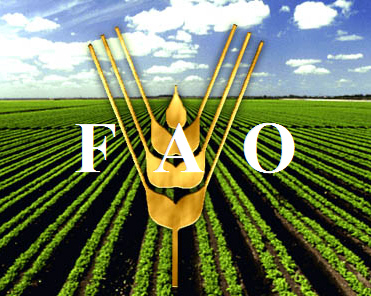 FAO va oferi agricultorilor moldoveni 400 milioane dolari SUA