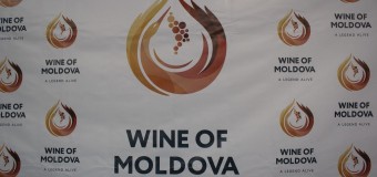 Vinificatorii moldoveni preiau experiența cehilor