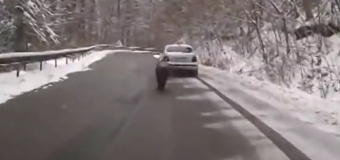 VIDEO// Apariţie ŞOC pe o şosea din România. Creatura care i-a ULUIT pe şoferi
