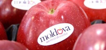 Rosselhoznadzor a ridicat interdicțiile la exportul de fructe pe piața rusă pentru încă 17 companii din R. Moldova