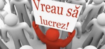 Numărul șomerilor este în descreștere. Vezi cifrele!