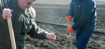 Ministrul Sergiu Palihovici – la plantat copaci (foto)