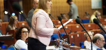 Liliana Palihovici la APCE: Statele membre ale Consiliului Europei trebuie să ofere mai multe oportunităţi în susţinerea familiilor