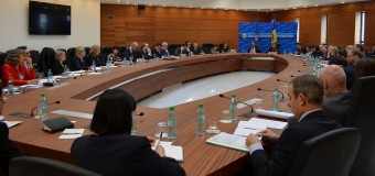 Viceministru: Experienţa de cooperare a statelor europene neutre cu NATO este foarte importantă pentru RM