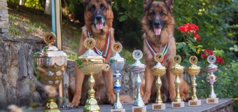 Patrupezii Poliției de Frontieră au câștigat o nouă competiție internațională