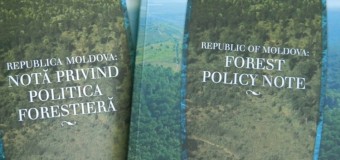 Nota privind politica forestieră a fost finalizată