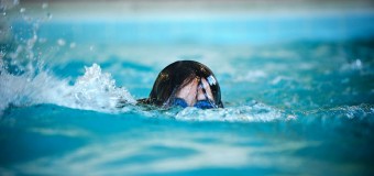 Încă o medalie la înot pentru echipa Moldovei la Festivalul Olimpic de la Tbilisi