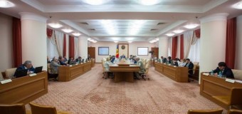 Guvernul şi-a desemnat reprezentanţii în Parlament şi la Curtea Constituţională