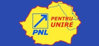 O Platformă național-liberală – soluția pentru consolidarea segmentului unionist