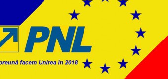 PNL propune un plan de acțiuni, în vederea Reîntregirii neamului românesc