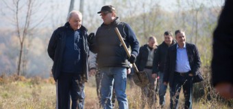 Președintele Timofti a plantat copaci, de Ziua Națională de Înverzire a Plaiului