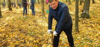 Munteanu: Ajutorarea regenerării naturale prin acţiuni de plantare a culturilor silvice necesită a fi efectuate permament