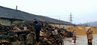 O întreprindere de stat dispune de lemne de foc la preț de 1 660 lei per metru ster