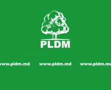 Curtea de Apel Centru a obligat CEC să includă PLDM în lista partidelor politice admise la parlamentare