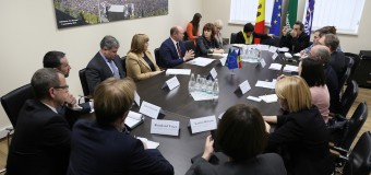 Streleţ: PLDM are nevoie de sânge proaspăt şi de acţiuni concrete pentru a se reseta