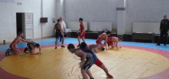 Ministerul Tineretului şi Sportului a organizat “Master-Class” la lupte greco-romane