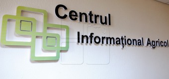 Peste 2 mii de apeluri la Centrul Informațional Agricol. Iată cele mai frecvente întrebări!