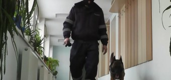 Alerta cu bombă la centrul de plasament al străinilor, falsă