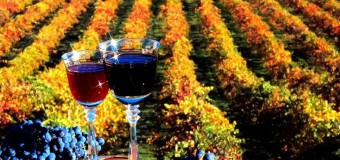 Vinurile moldovenești, apreciate la expoziția ProWein 2016