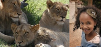 Incredibil! O fetiţă a fost salvată de la viol de câţiva lei