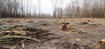 Ministerul Mediului a dispus suspendarea din funcţie încă a unui şef de întreprindere
