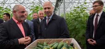 Guvernul va sprijini agricultorii care aduc plusvaloare şi contribuie la dezvoltarea ţării