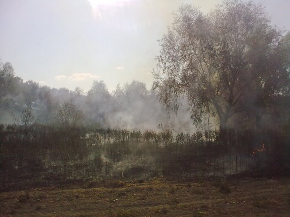 Moldsilva a elaborat un plan de acțiuni de prevenire a incendiilor forestiere. Detalii