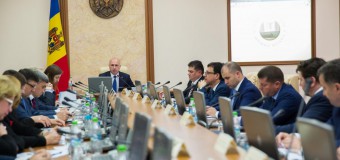 Măsuri de prevenire a răspândirii unor organisme dăunătoare – aprobate de Guvern