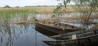În Republica Moldova va fi creată prima Rezervație a biosferei
