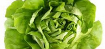 Cum mâncăm corect salata verde. Greşeala pe care o facem aproape toţi