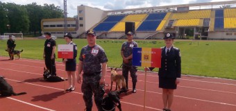 Patrupedele Serviciului Vamal Mary și Dona au înregistrat cel mai bun scor în cadrul Campionatului European Regional
