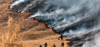 Proiect de lege privind incendiile de vegetație: Trebuie să oprim această practică vicioasă! Amenzi de 50 mii lei!