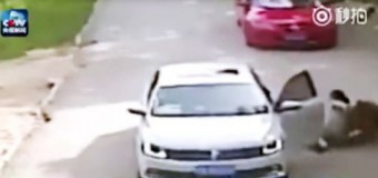 Video// Momentul șocant în care un tigru siberian atacă o femeie ieșită din mașină