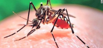 Alertă! Virusul Zika a fost confirmat în România. Primul caz, o tânără de 27 de ani