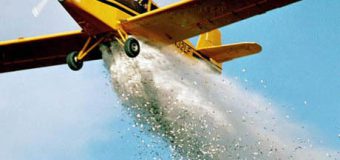 Amplă acţiune de vaccinare a animalelor: 10 avioane aruncă tone de pește congelat