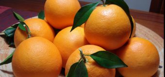 Dieta-MINUNE cu portocale: Până la Crăciun vei scăpa de 20 de kilograme!