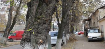 Anunț important pentru șoferi! Sâmbătă și duminică evitați circulația pe str. Alexei Mateevici