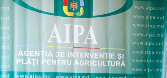 AIPA are un nou director adjunct