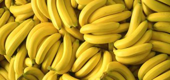 Bananele ar putea DISPĂREA de pe piaţă. Motivul incredibil!