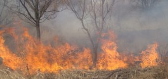 Peste trei sute de incendii de vegetație, lichidate de IGSU în ultimele 24 de ore