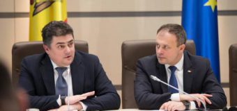 Calmîc a solicitat suportul Legislativului privind amânarea intrării în vigoare a Legii privind utilizarea energiei din surse regenerabile