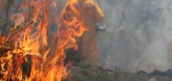 În zilele de week-end, pe teritoriul R. Moldova au avut loc peste 40 de incendii de vegetație