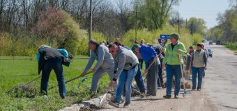 Masterclass de la orheieni! Cum trebuie făcută curățenia de primăvară (Foto)