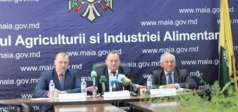 MAIA, despre gradul de afectare a culturilor agricole, după ninsorile din aprilie