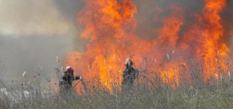 Două incendii de vegetație, lichidate în mun. Chișinău