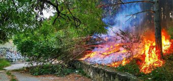 Incendiu de vegetație în parcul Valea Morilor (FOTO)