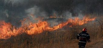 Intervenția pompierilor la lichidarea unui incendiu de vegetație la Ialoveni