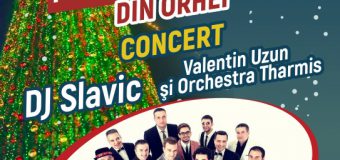 Pomul de Crăciun de la Orhei va fi inaugurat pe 10 decembrie. Primăria anunță și un concert