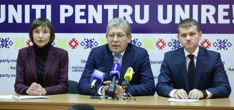 PL cere CC să examineze urgent sesizarea privind sistemul electoral mixt