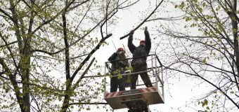 Mâine va fi suspendat traficul rutier pe str. Ion Creangă din Chișinău. Iată cum va circula transportul public